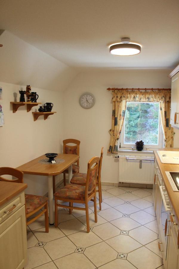 Ferienwohnung Schmalzgrube Johstadt Экстерьер фото